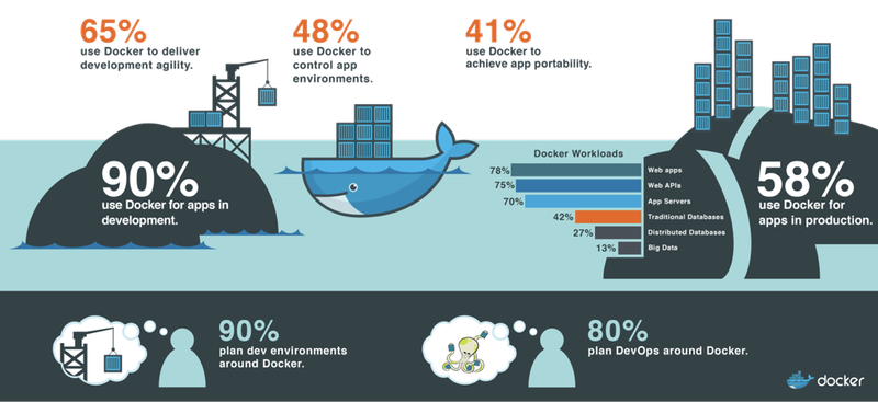 The Evolution of the Modern Software Supply Chain - The Docker Survey, 2016